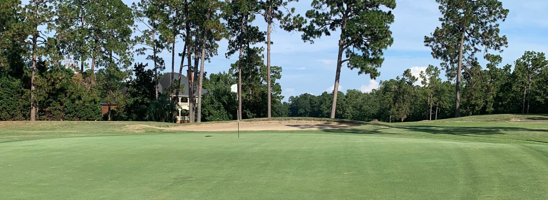 golf course with trees